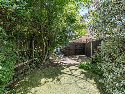 Picture 15